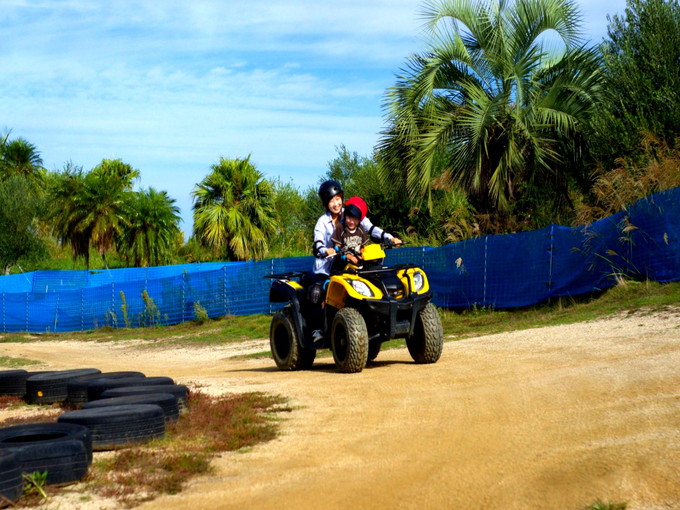 【アクティビティのお仕事】