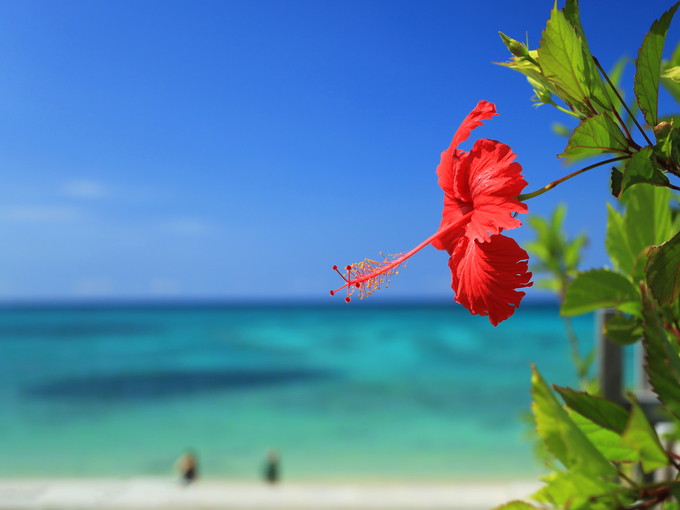 恩納村の住み込みリゾートバイト（ビーチでのアクティビティスタッフ）の画像４