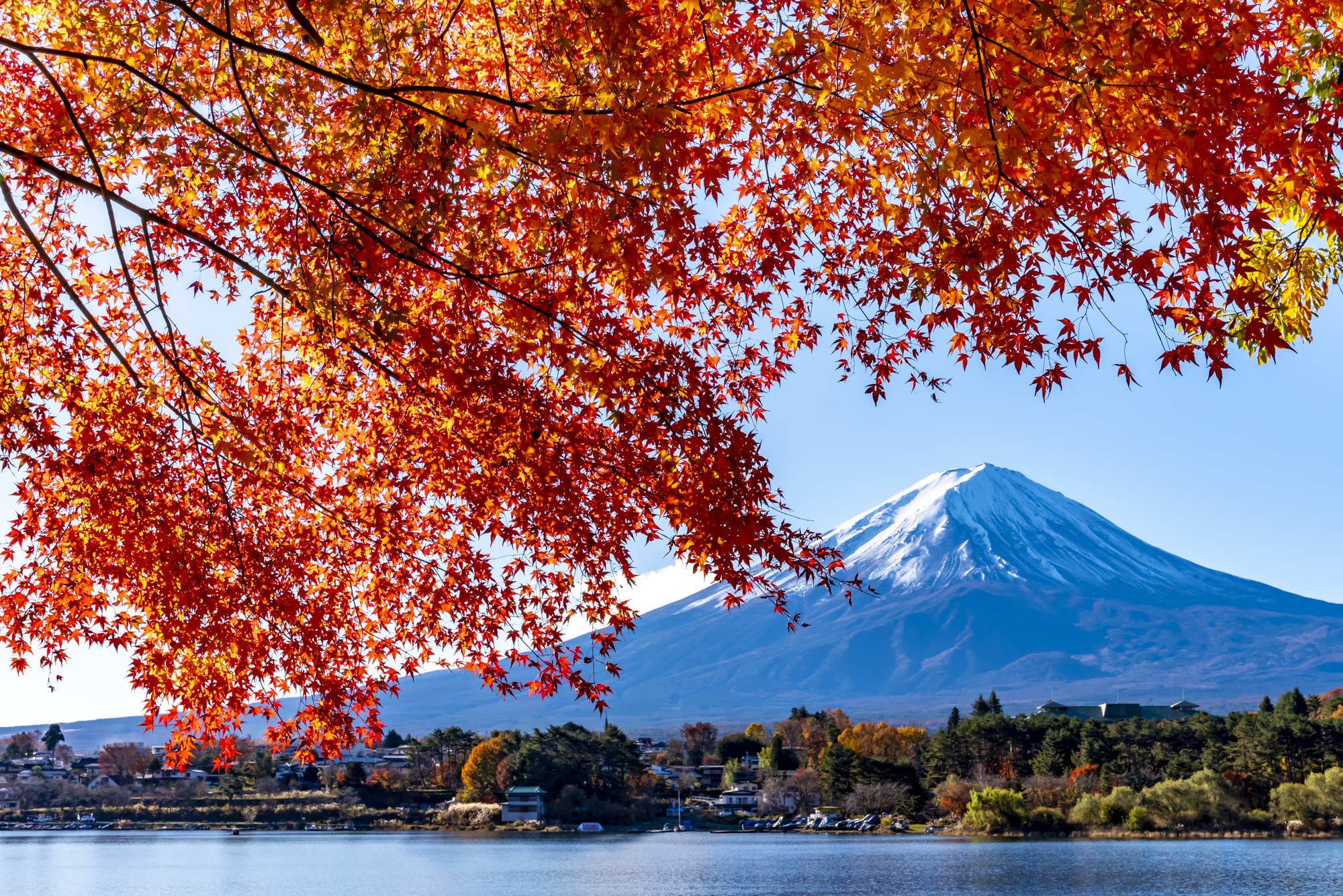 河口湖の住み込みリゾートバイト（ホテルの全般業務）の画像２