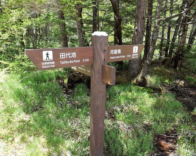 上高地の住み込みリゾートバイト（ホテルのお仕事）の画像５