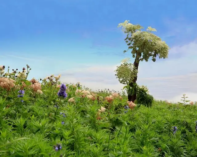 【ホテルのお仕事】