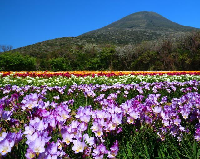 八丈島の住み込みリゾートバイト（ホテルのレストラン・調理補助）の画像３