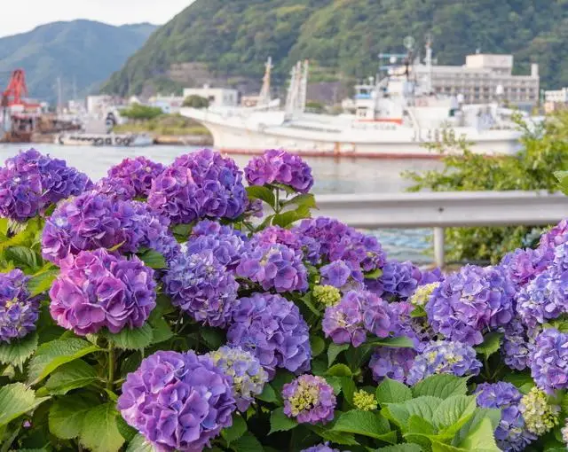 下田の住み込みリゾートバイト（ホテルのレストラン）の画像２